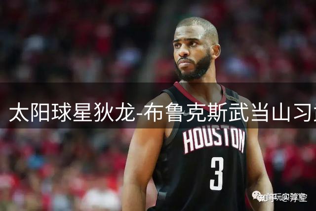 太阳球星狄龙-布鲁克斯武当山习武身影曝光