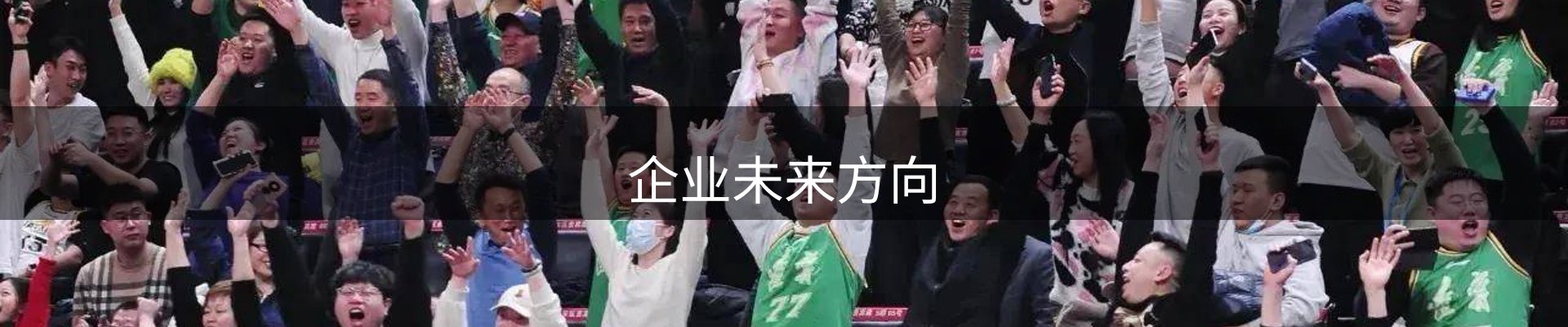 企业未来方向